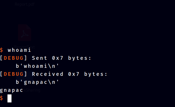 images/formatstringbug-8.png